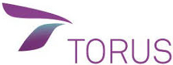 torus logo