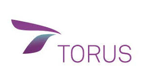 logo Torus