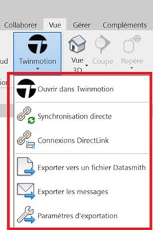 Onglet "vue" Twinmotion